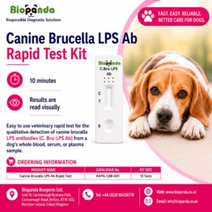 Canine Brucella LPS Ab Kit de Prueba rápida