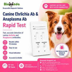 Canine Ehrlichia & Anaplasma Ab Kit de Prueba rápida