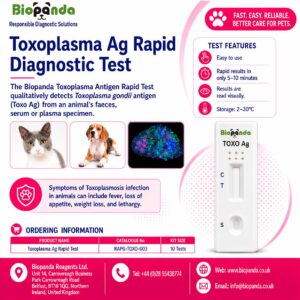 Toxoplasma Ag Kit de Prueba rápida
