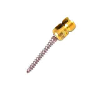 Medical Spinal System