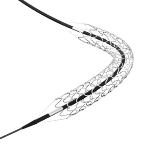 Genoss Stent DES