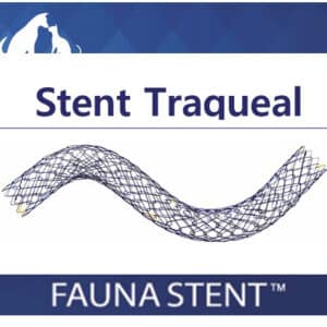 Stent traqueal